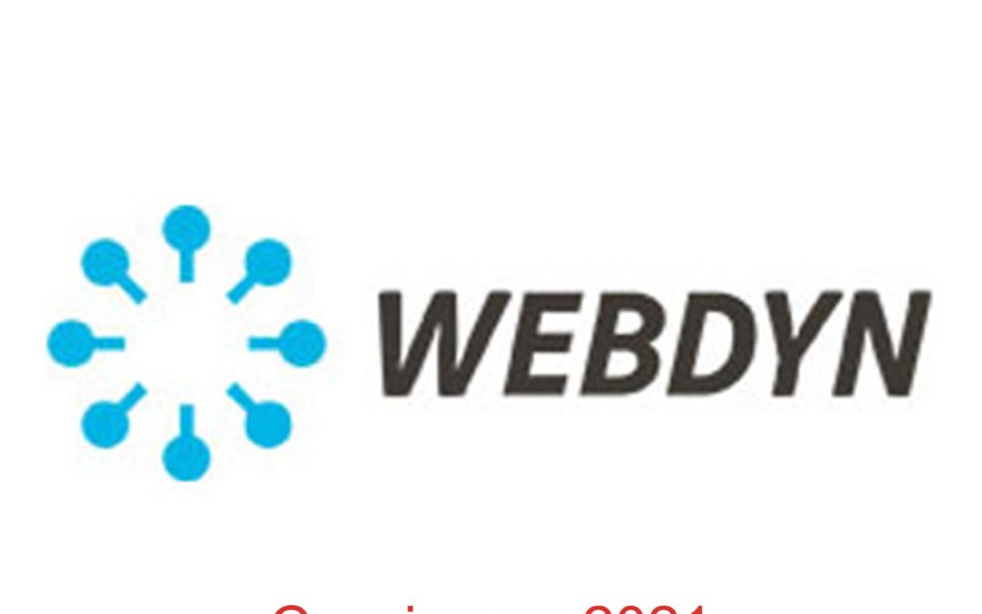 WEBDYN